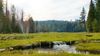 Hume Lake Road photo
